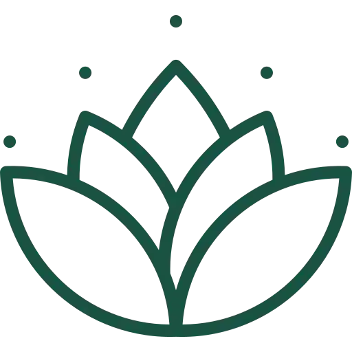 Mantra Joypin